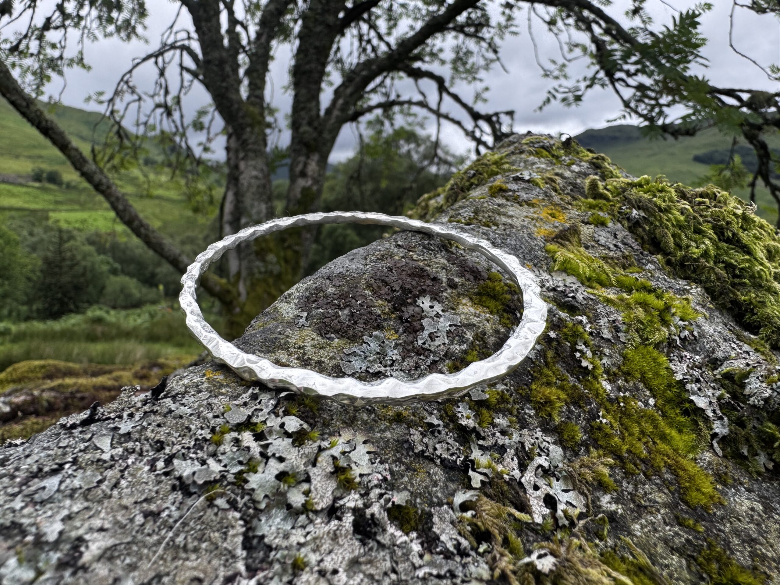 - Image 5